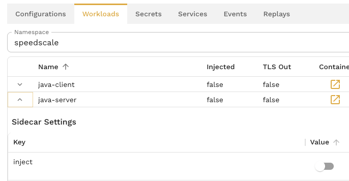 workload inject